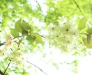 貴方の心に寄り添います 悩みのある方、とにかく話を聞いて欲しい方へ イメージ1