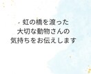 虹の橋を渡った動物さんのお気持ちお伝えします 虹の橋を渡ってしまった大切な動物さんの気持ちをお伝えします イメージ1