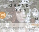 女性ウケするチラシ♡お作りします - 修正無制限＆2日以内に初稿お届け！- イメージ4