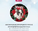 クリスマス向けペット写真SNSアイコンを制作します うちの子写真で現役デザイナーがセミオーダーで制作 イメージ6