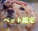 あなたの大事なペットの本当の気持ちを伝えます あの子の本音を知って、もっと大切にしたいあなたを導きます イメージ1