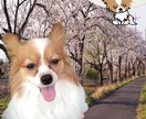 シンプルで癒しのあるデザインを提供します これからサロンなど経営される方などバナーやロゴが必要な方へ イメージ2