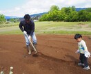 某テレビ番組の監修者が家庭菜園の悩みお答えします 家庭菜園で何から始めようか迷っている、失敗した事がある貴方へ イメージ6