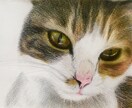色鉛筆で動物、ペットの似顔絵お描きします 温かみのある世界に一つだけの絵をお届けします イメージ3