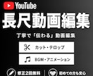 YouTubeの長尺動画を丁寧に編集いたします 初めての動画編集依頼も安心です イメージ1