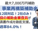 第12回対応｜事業再構築補助金の申請書を作成します 採点現場を知る現役補助金審査員による申請書作成支援です。 イメージ1