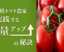 サイト・バナー制作‼︎承ります 低価格で発注したい方、よくご相談のうえデザインします‼︎ イメージ1