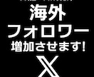 X外国人フォロワー拡散して１０００人増加させます フォロワー１０００人〜３００００人増加させます イメージ1