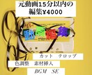 元動画15分以内のカット、字幕などの編集をします 費用を抑えたい方、細かい要望をしたい方は是非！モザイク等も可 イメージ1
