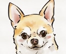 愛犬の似顔絵イラストをお描きします アイコン、鑑賞用、プレゼントに イメージ4