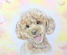 色鉛筆似顔絵肖像画描きます 世界に１つだけの愛犬、愛猫の似顔絵を原画でお渡します。 イメージ2