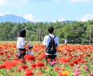 普段の雰囲気や特別なイベントを撮影します 保育士5年間写真スタジオで4年間経験を活かして撮影します イメージ5