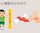 管理栄養士が栄養教材・食育スライドを作成いたします 専門性とやさしさを両立した、現場で使える教材 イメージ6