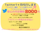 Twitter1ヶ月運用代行致します 契約前に2日間無料でお試し期間始めました♪ イメージ1