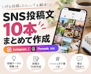 SNS投稿文を10本作成します AI×実運用経験で投稿10本まとめて作ります イメージ1