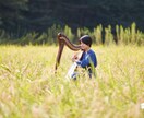 小型ハープの仕組みや奏法について解説します 憧れの楽器、ハープってどうやって弾くの？ イメージ3