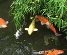 あなたの知りたいことを話します ‼︎ネガティブから抜け出したいあなたへ イメージ3
