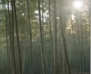 一霊四魂を１か月注入します ４つの魂である幸魂　奇魂　和魂　荒魂をあなたに注入します イメージ1