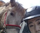 あなたのペットのお悩み解決します 今、一番して欲しいことは? 話せないペットに聞きます。 イメージ4