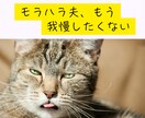 50代女性限定。夫の愚痴、何でも聞きます モヤモヤを抱えないで。“この年齢だから”話せることがあります イメージ3