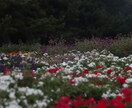 空のお写真や景色のお写真お撮りします 写真をあなた色に染めて幸せをお送りいたします イメージ3