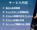 4週間マンツーマンでダイエット支援します 初めてのダイエット、少しの強制力が必要な方へ イメージ3