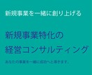 新規事業特化の経営コンサルティングを行います 複数のスタートアップ経験のあるコンサルタントが担当します。 イメージ1