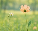 30分間、やさしくお話をお聴きします ふだん言えない愚痴やモヤモヤを安心して話せる場所 イメージ1