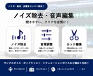 幅広い作品に対応！ノイズ除去・音声編集します 迅速かつ丁寧にクリアな音質に仕上げます！ イメージ1