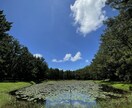 不要なエネルギーおろし、軽くします 不要なものをおろし、愛の光で浄化（クリアニング）ヒーリング。 イメージ1