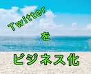 Twitter運用します Twitterを活用してビジネスに繋げたいそんな人へ イメージ1