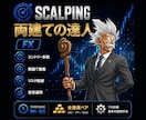 FX両建ての達人を提供します 両建てを活用した戦略。明確なエントリー・決済が分かる投資法。 イメージ1