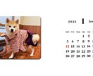 オリジナルWEB壁紙作成します 愛する家族・ペットetc…お好きな画像で制作OK♪ イメージ3
