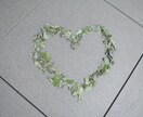 もう大丈夫、元歯科衛生士、今女将が全て受け止めます ラーメン屋に来る気軽さでお電話下さい。女将がお話し聞きます。 イメージ2