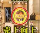 売上向上◆売上げ向上の不思議なアレンジがあります 新たなカルマを作らず宿命に負担がかからない効果重視の施術です イメージ1