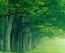 現役カウンセラーがあなたのお悩みを聞きます 悩みで困っている方、友達のように心の話聞いてほしい方はぜひ！ イメージ4