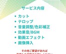アクセス数・視聴維持率を意識した広告動画制作します 月50本以上納品実績のある動画編集チームが広告動画制作 イメージ4
