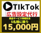 TIkTokの広告設定代行します TikTok広告/動画広告/広告設定/ネット広告 イメージ1