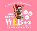 パリ在住プロがWEB画像制作します まずはお気軽にご相談ください！ イメージ1