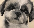 油絵で描きます その子らしさを重視して表現します イメージ2
