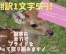 翻訳　英語⇄日本語　日本語⇄英語　翻訳します 早く・丁寧に・プライドを持って最高の翻訳をいたします。 イメージ1