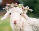 どんな些細なことでもいいです。お話聞きます あなたの、心を爽やかにします。 イメージ1