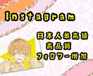 スーパー高品質フォロワーゆっくりと自然に増加します Instagram日本人！ゆっくり無料！30いいねプレゼント イメージ1