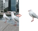 写真の切抜きや背景透過、色味の修正を行います 低価格でササっと仕上げたい方へ！各種ご要望承ります！ イメージ1