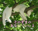 そばにいるよ♡ 話したいに 寄添います 心のホコリやチリを吐き出すことを日常に♡ イメージ6