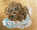 原画配送付き☆犬の絵を描きます あたたかみのあるクレパスで大切なわんちゃんの絵を描きます。 イメージ5