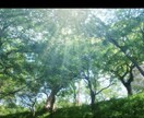 自分自身で抱えきれない気持ちをお聞きします ご自分の気持ちを安心して出せるためだけの場所です イメージ2