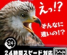 超短期◆納期に困ってる方専門/LP制作代行します 最短翌日納品！LP構成/ライティング/デザイン/丸投げでOK イメージ1