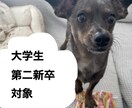 大学生＆第二新卒者の就職活動相談に乗ります ES添削や面接対策、自己分析の方法をお伝え イメージ1