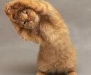こころのラジオ体操、メンタルストレッチ指導いたします・・・ イメージ2
